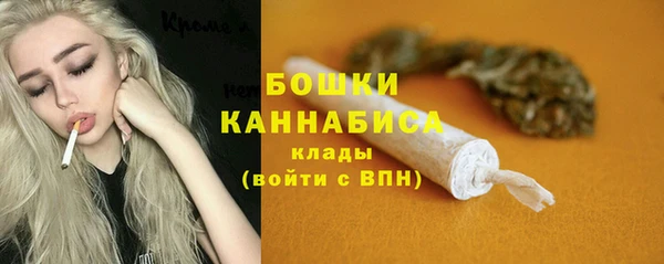 твердый Вяземский