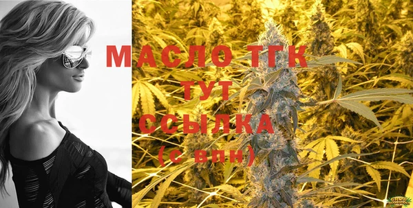 твердый Вяземский