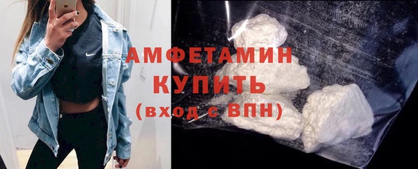 твердый Вяземский