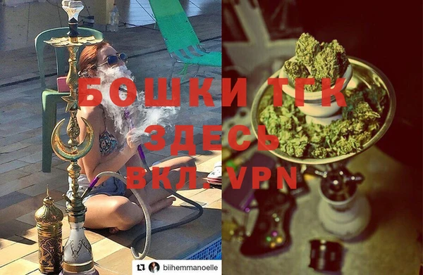 твердый Вяземский