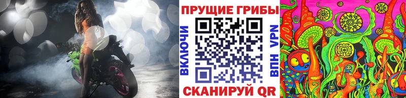 Псилоцибиновые грибы GOLDEN TEACHER  Окуловка 
